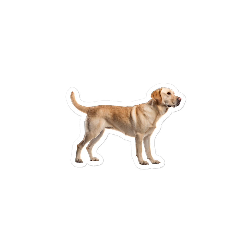 Labrador Retriever Sticker - Stickerfy.ai