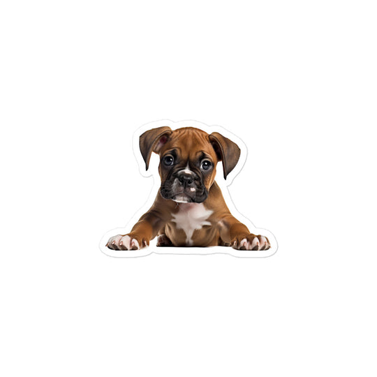 Boxer Sticker - Stickerfy.ai