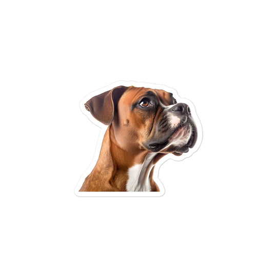 Boxer Sticker - Stickerfy.ai
