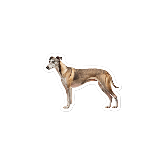 Greyhound Sticker - Stickerfy.ai