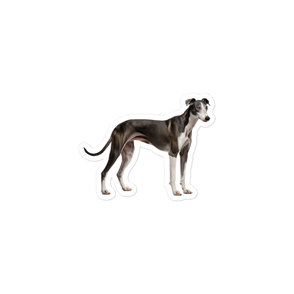 Greyhound Sticker - Stickerfy.ai