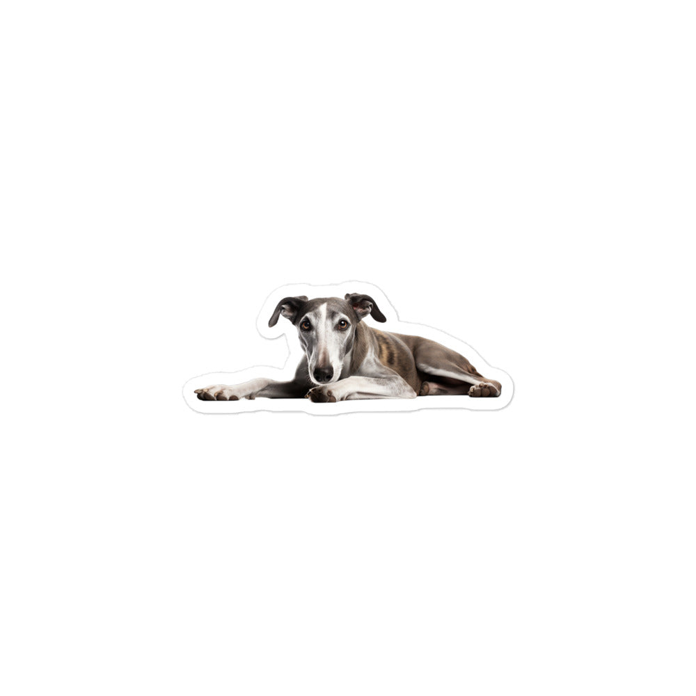 Greyhound Sticker - Stickerfy.ai