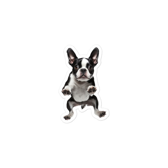 Boston Terrier Sticker - Stickerfy.ai