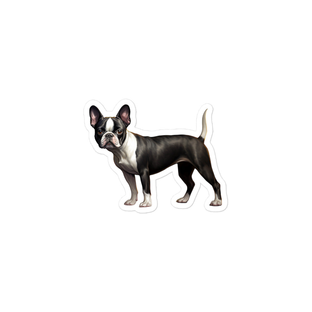 Boston Terrier Sticker - Stickerfy.ai