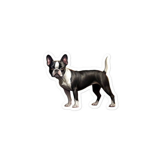 Boston Terrier Sticker - Stickerfy.ai
