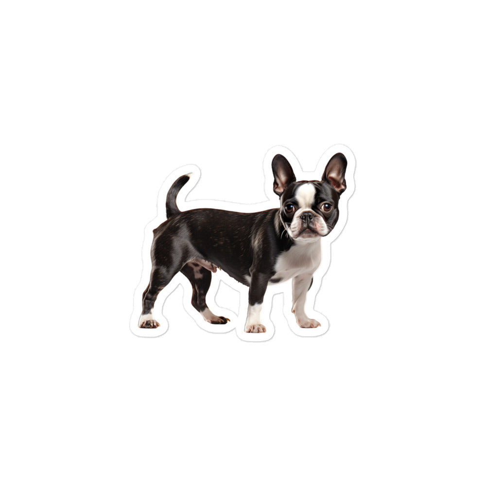 Boston Terrier Sticker - Stickerfy.ai