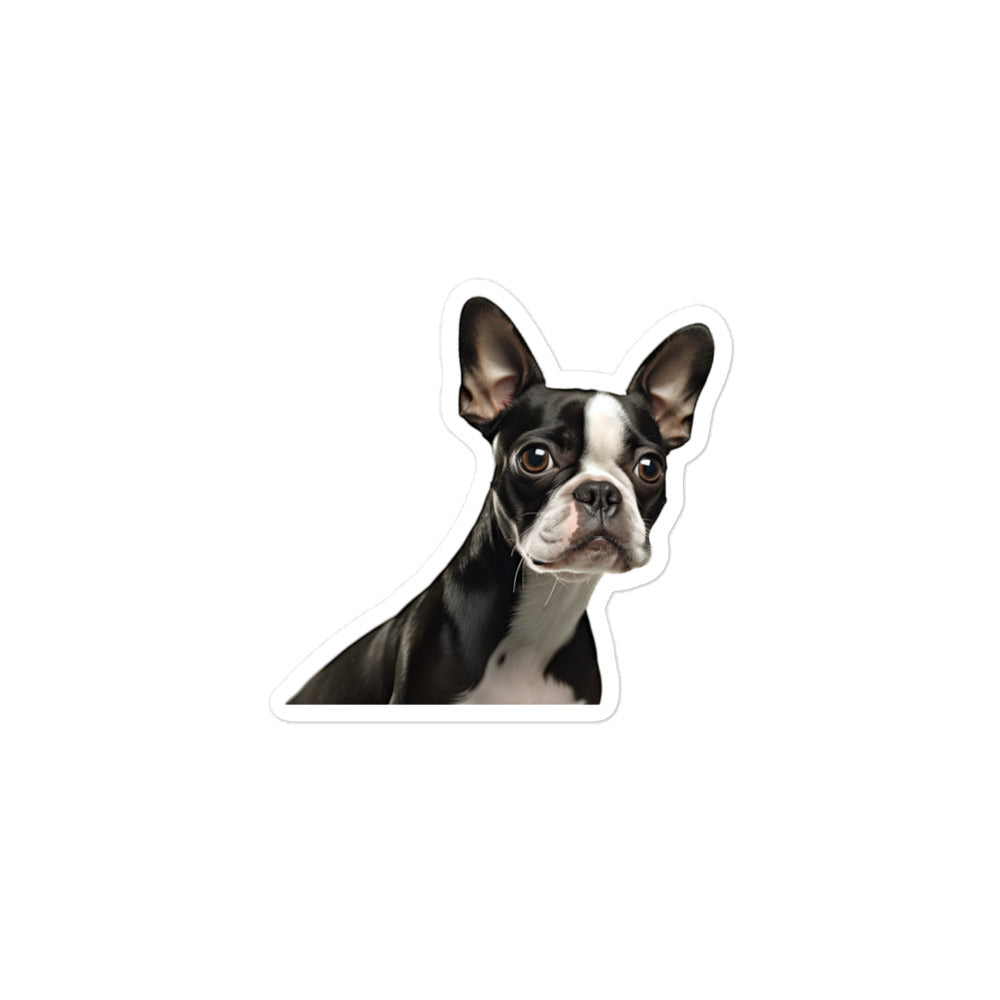 Boston Terrier Sticker - Stickerfy.ai