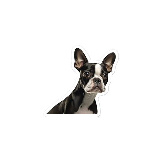 Boston Terrier Sticker - Stickerfy.ai