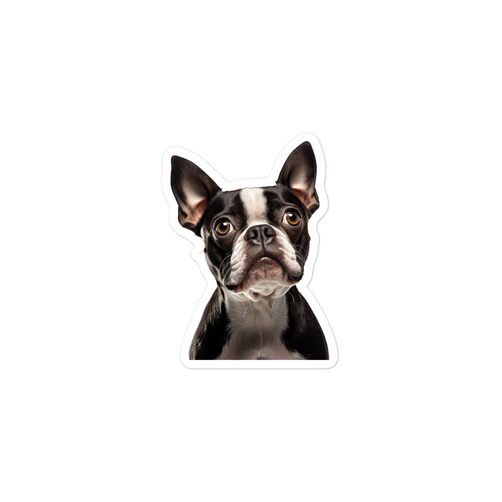 Boston Terrier Sticker - Stickerfy.ai