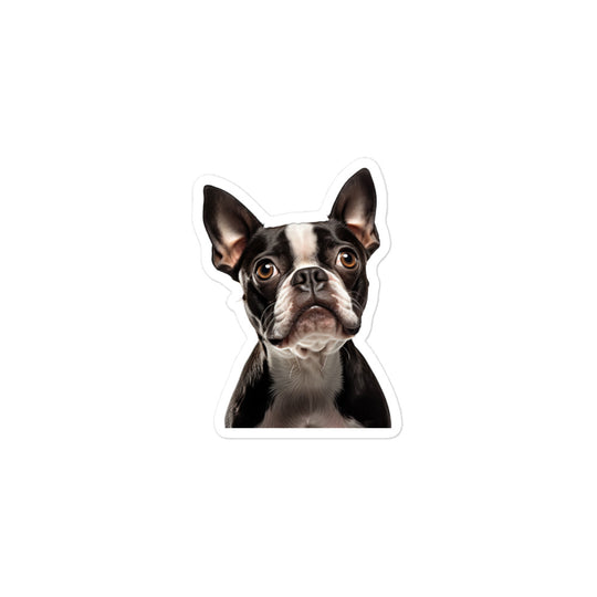 Boston Terrier Sticker - Stickerfy.ai