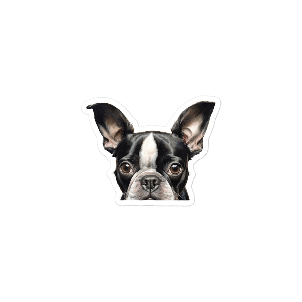 Boston Terrier Sticker - Stickerfy.ai