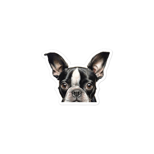 Boston Terrier Sticker - Stickerfy.ai