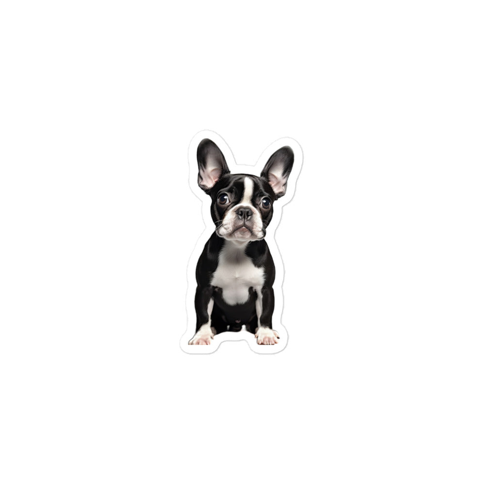 Boston Terrier Sticker - Stickerfy.ai