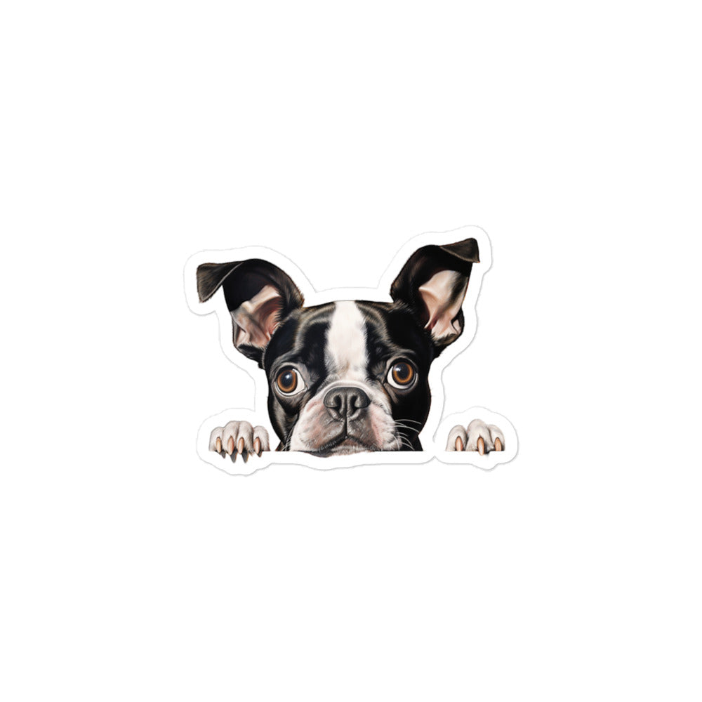 Boston Terrier Sticker - Stickerfy.ai