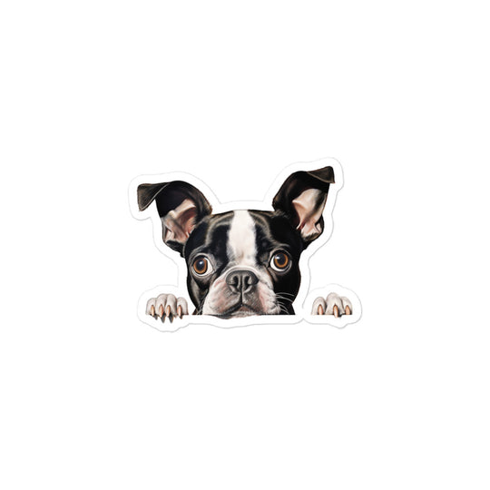 Boston Terrier Sticker - Stickerfy.ai
