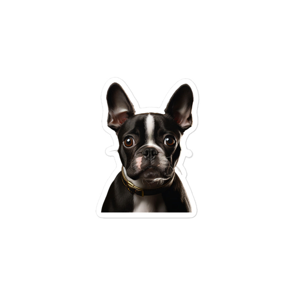 Boston Terrier Sticker - Stickerfy.ai