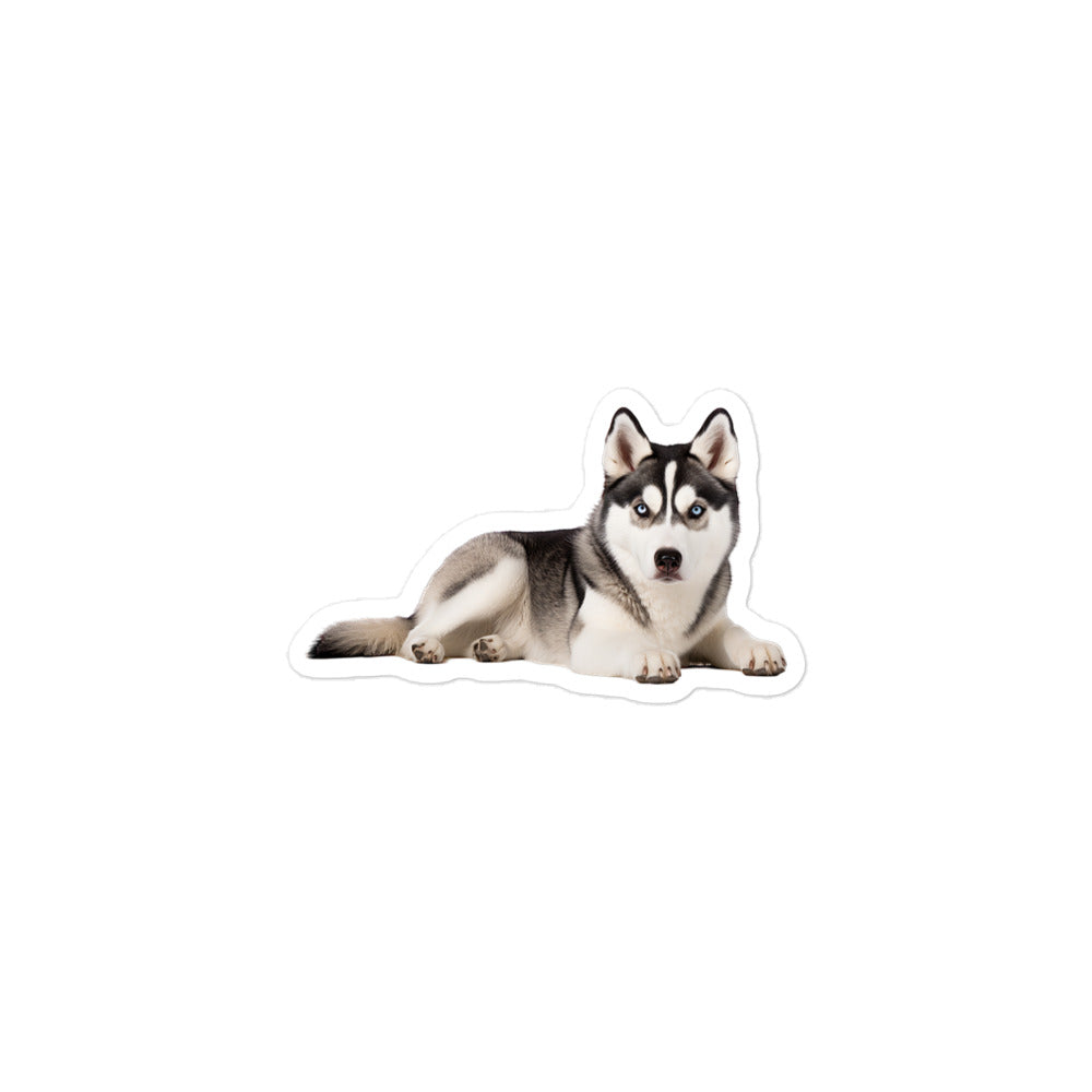 Siberian Husky Sticker - Stickerfy.ai