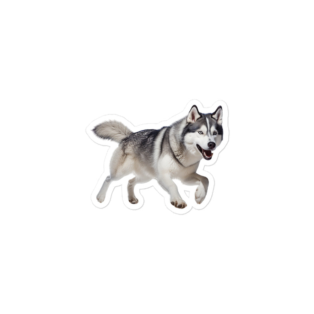 Siberian Husky Sticker - Stickerfy.ai