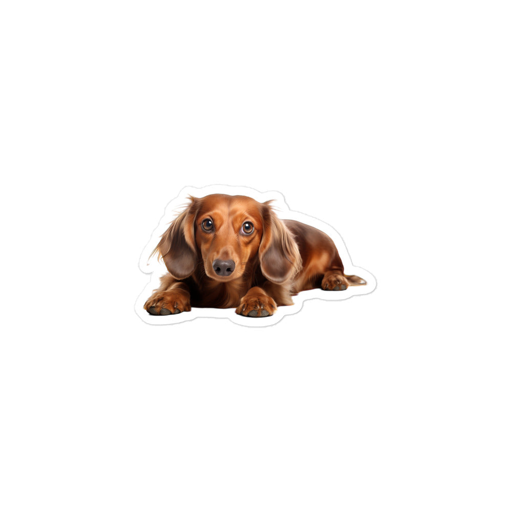 Dachshunds Sticker - Stickerfy.ai