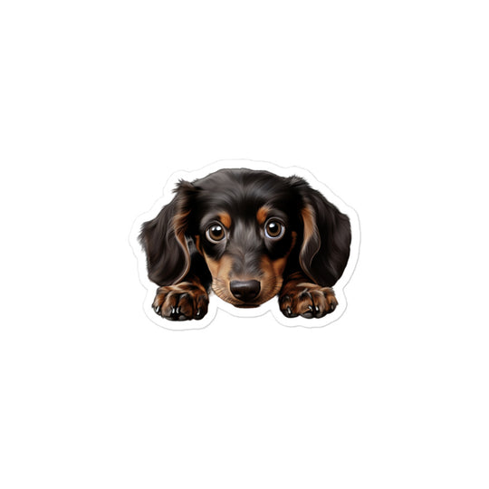 Dachshunds Sticker - Stickerfy.ai