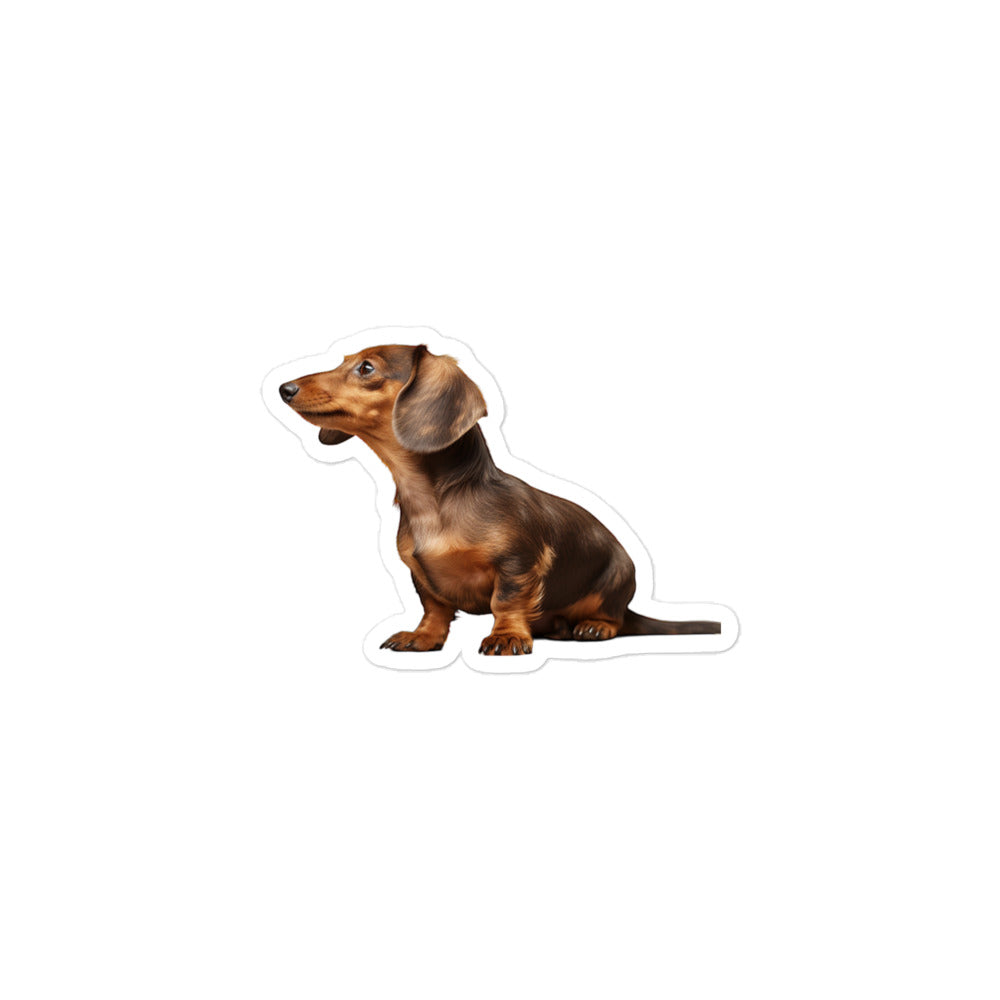Dachshunds Sticker - Stickerfy.ai