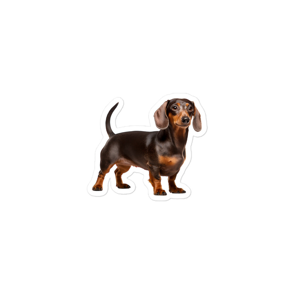 Dachshunds Sticker - Stickerfy.ai