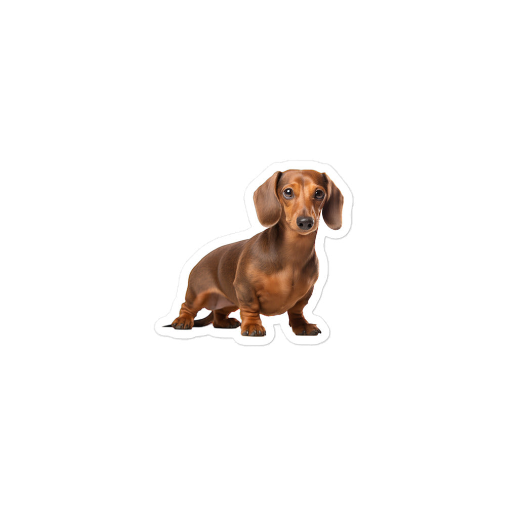 Dachshunds Sticker - Stickerfy.ai