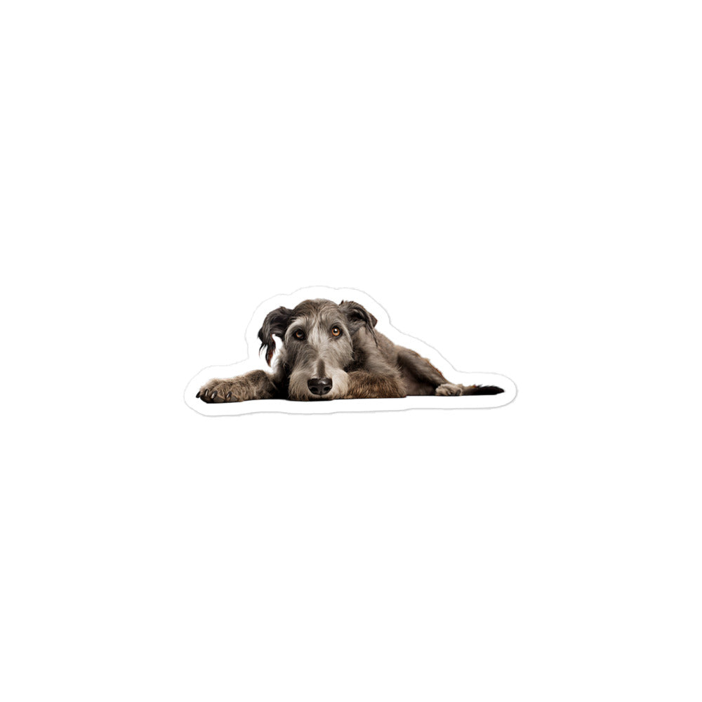 Scottish Deerhound Sticker - Stickerfy.ai