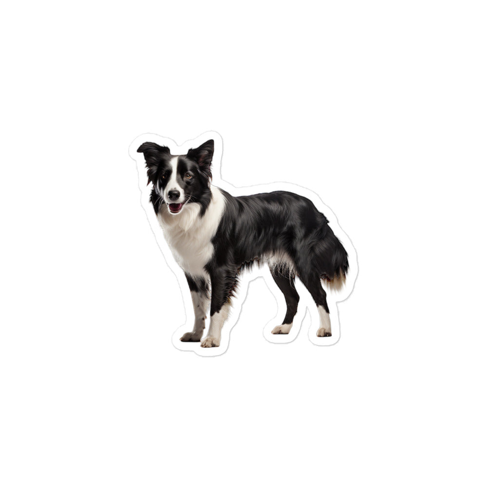 Border Collie Sticker - Stickerfy.ai