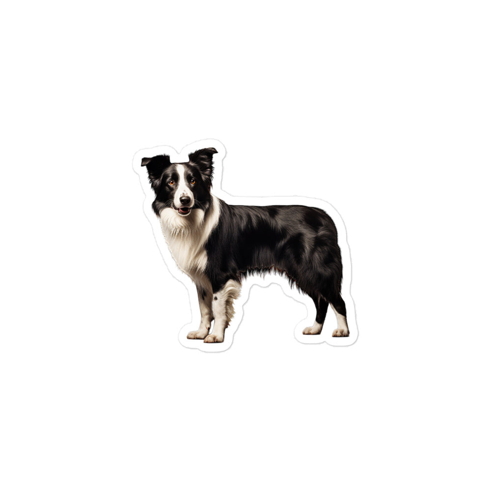 Border Collie Sticker - Stickerfy.ai