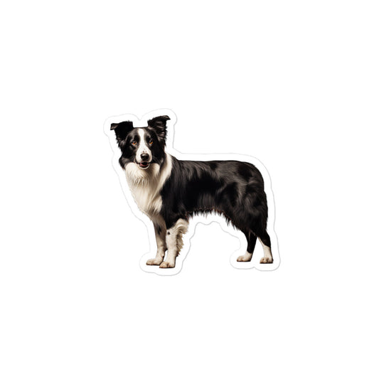 Border Collie Sticker - Stickerfy.ai