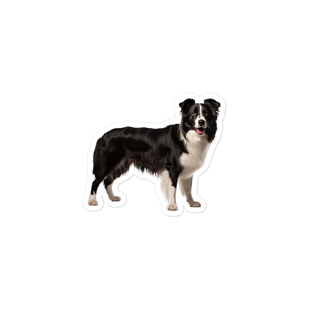 Border Collie Sticker - Stickerfy.ai