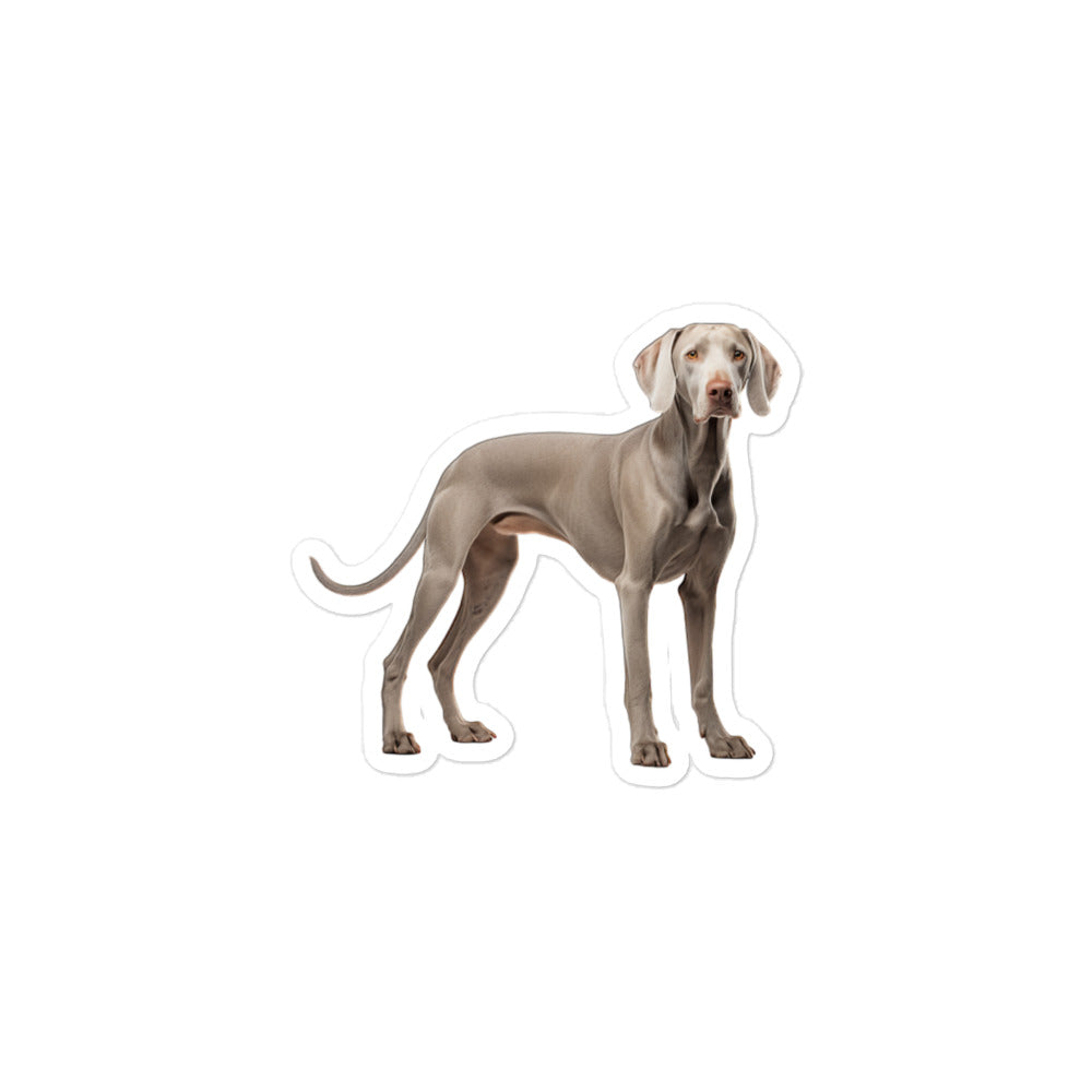 Weimaraner Sticker - Stickerfy.ai