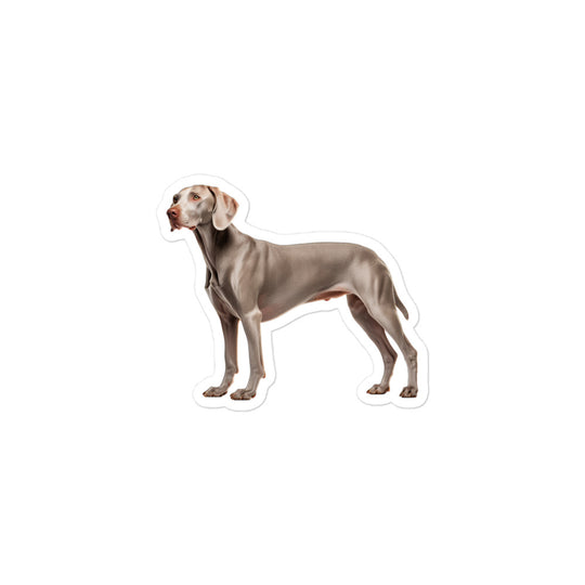 Weimaraner Sticker - Stickerfy.ai