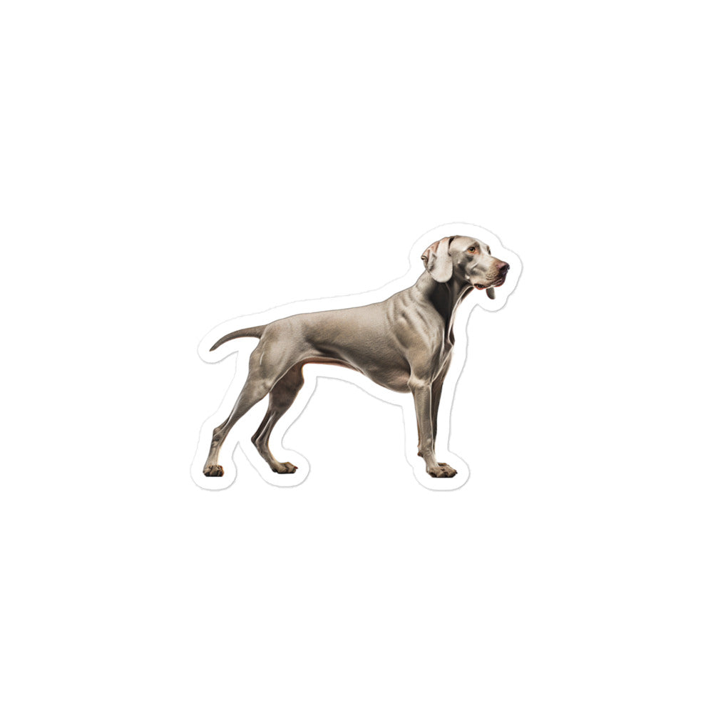 Weimaraner Sticker - Stickerfy.ai