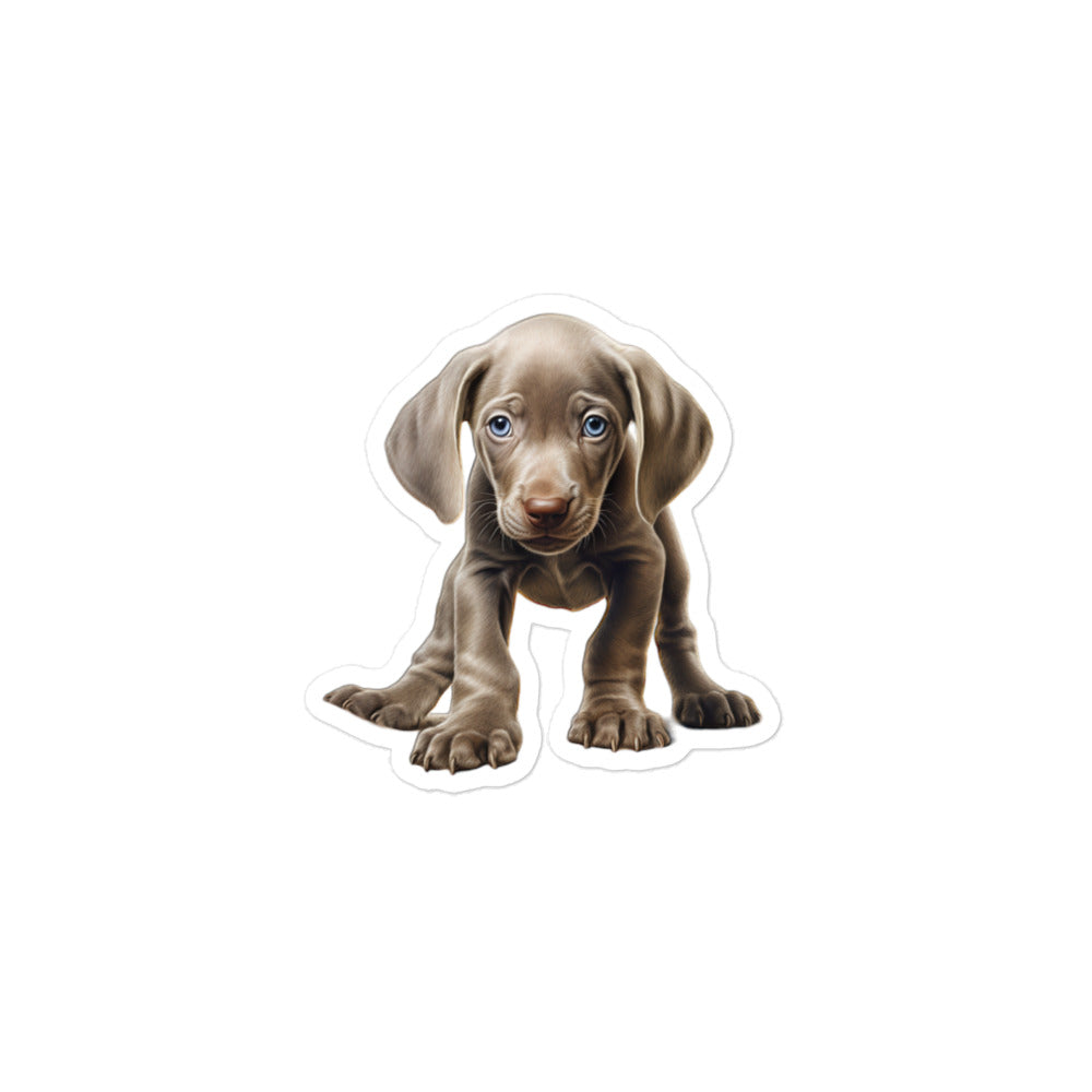 Weimaraner Sticker - Stickerfy.ai