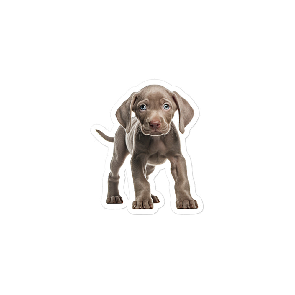 Weimaraner Sticker - Stickerfy.ai