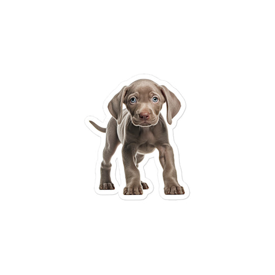 Weimaraner Sticker - Stickerfy.ai