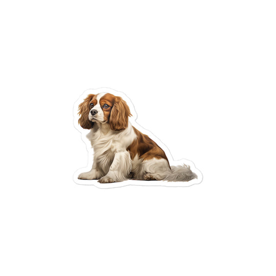 Cavalier King Charles Spaniel Sticker - Stickerfy.ai