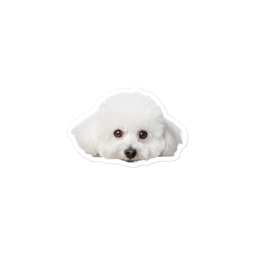 Bichon Frise Sticker - Stickerfy.ai
