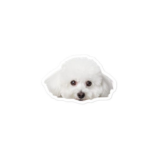 Bichon Frise Sticker - Stickerfy.ai