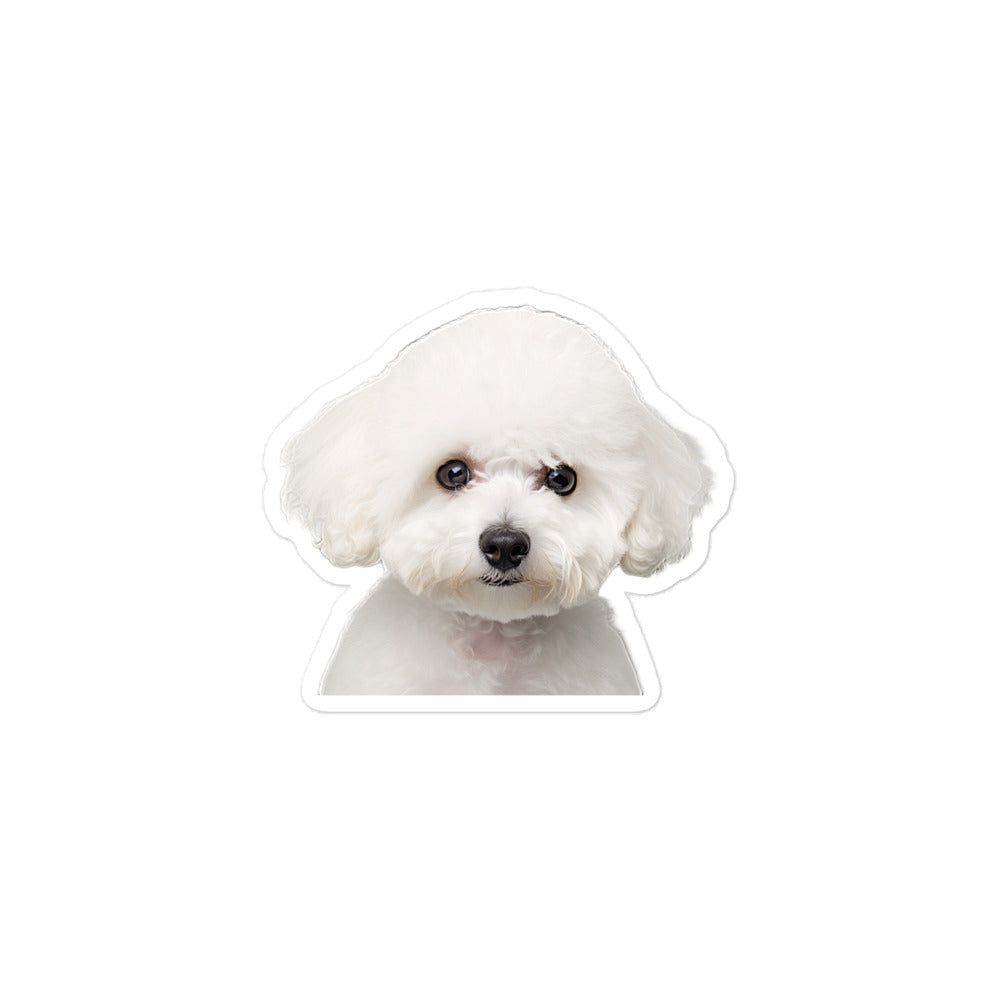 Bichon Frise Sticker - Stickerfy.ai
