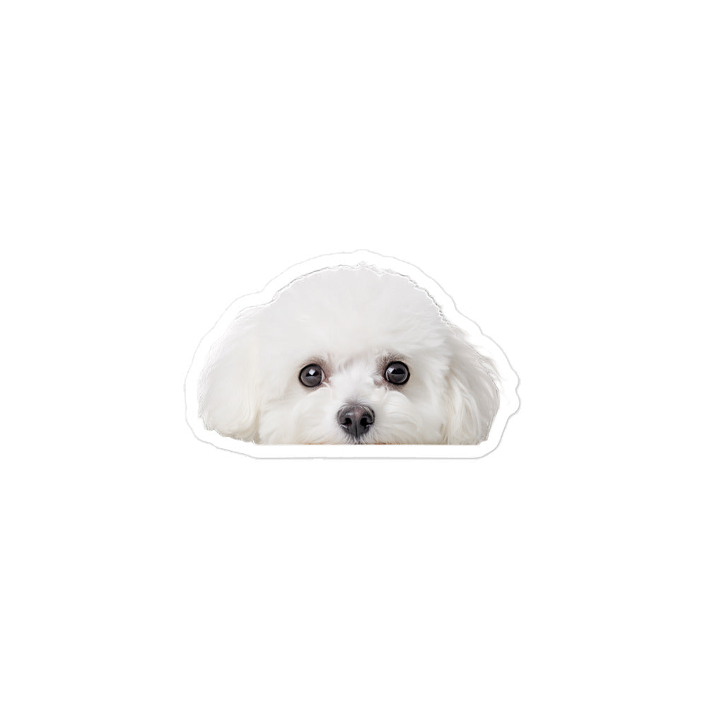 Bichon Frise Sticker - Stickerfy.ai