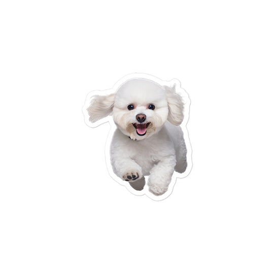Bichon Frise Sticker - Stickerfy.ai