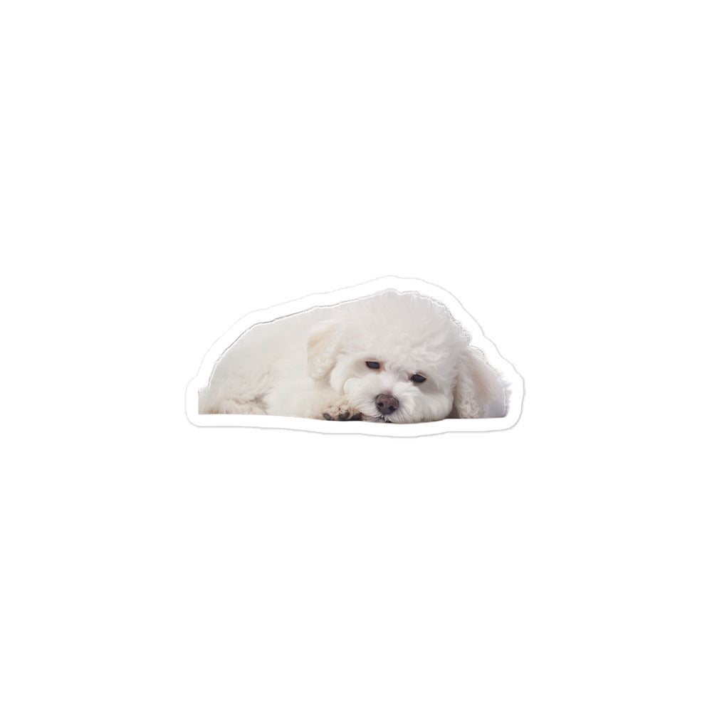 Bichon Frise Sticker - Stickerfy.ai