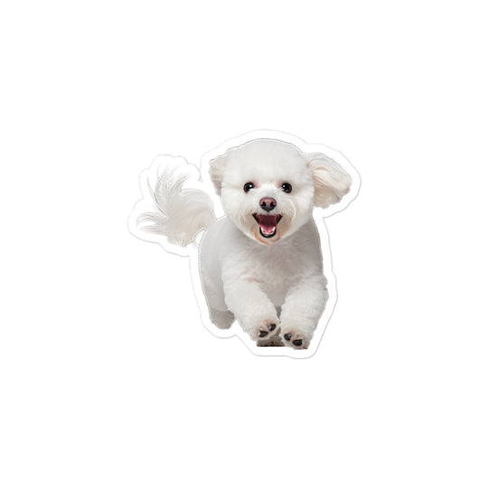 Bichon Frise Sticker - Stickerfy.ai