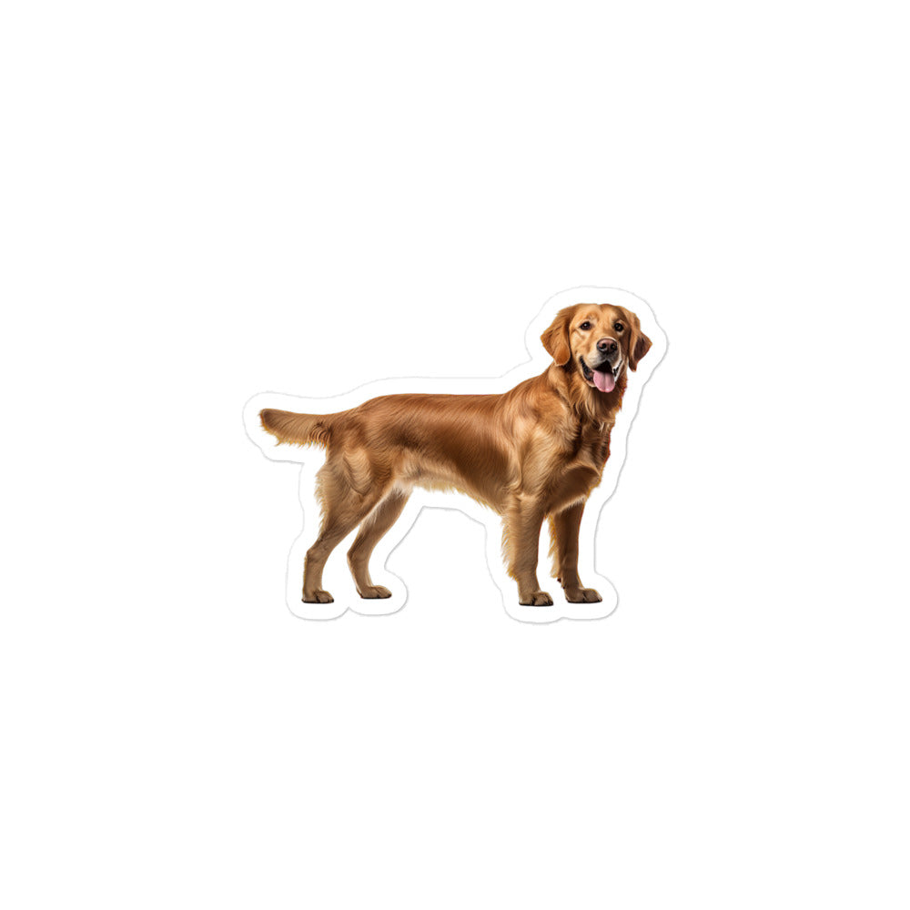 Golden Retriever Sticker - Stickerfy.ai