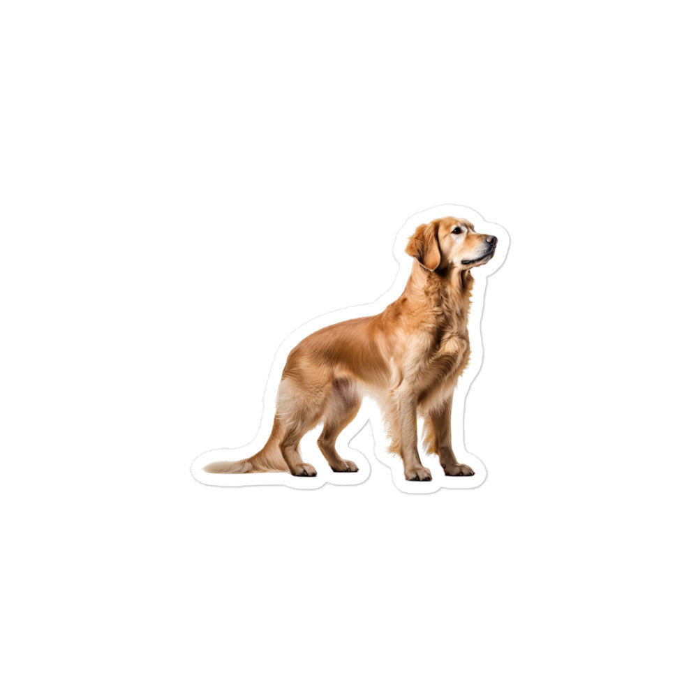 Golden Retriever Sticker - Stickerfy.ai