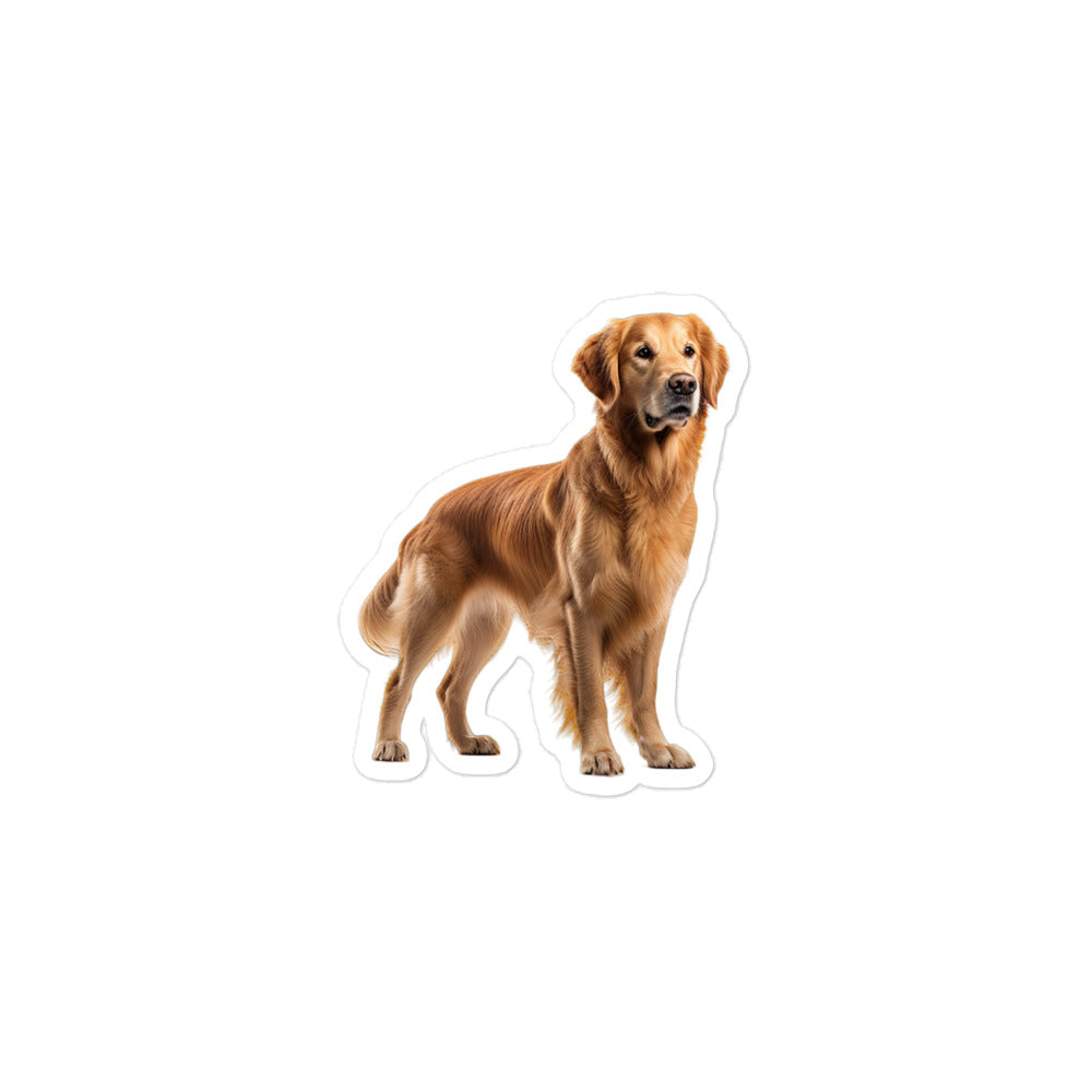 Golden Retriever Sticker - Stickerfy.ai