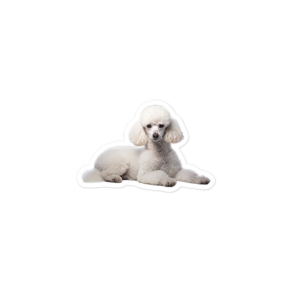 Poodle Sticker - Stickerfy.ai